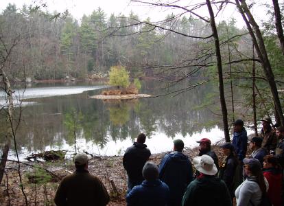 The swimming lake from the amphitheater