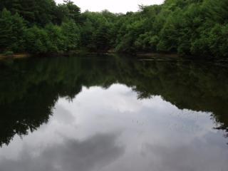 The old ballfields, now covered with water