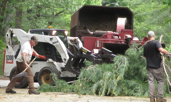 The Bobcat, chipper, & dump truck