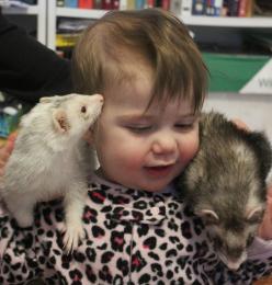 Darwin with a ferret on each shoulder