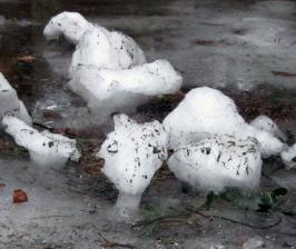 Ice chunks balancing on stalks