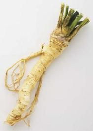 A horseradish root